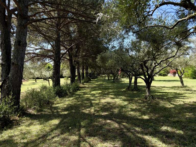 Propriété Uzès - 4 chambres - 260m²