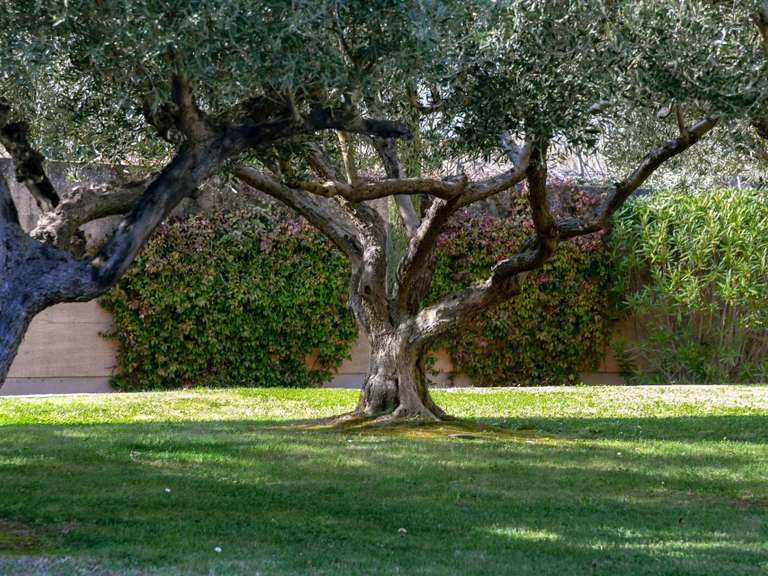 Propriété Uzès - 5 chambres - 479m²