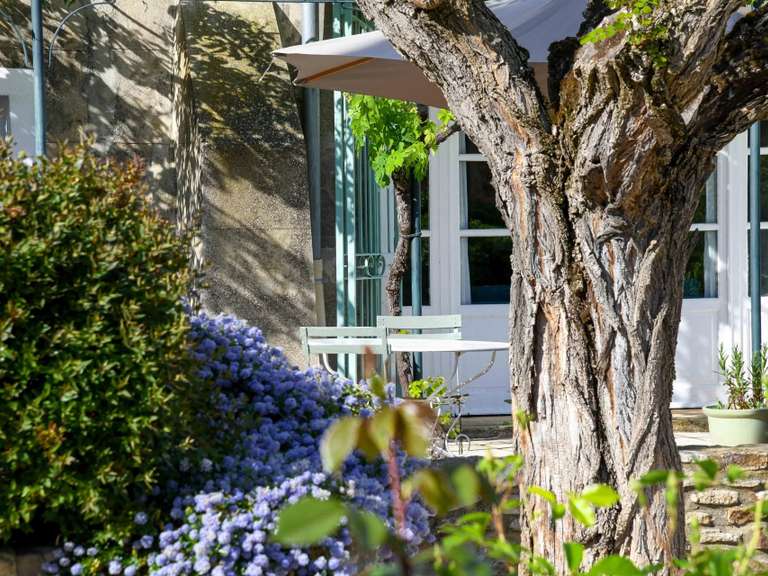 Propriété Uzès - 8 chambres - 560m²