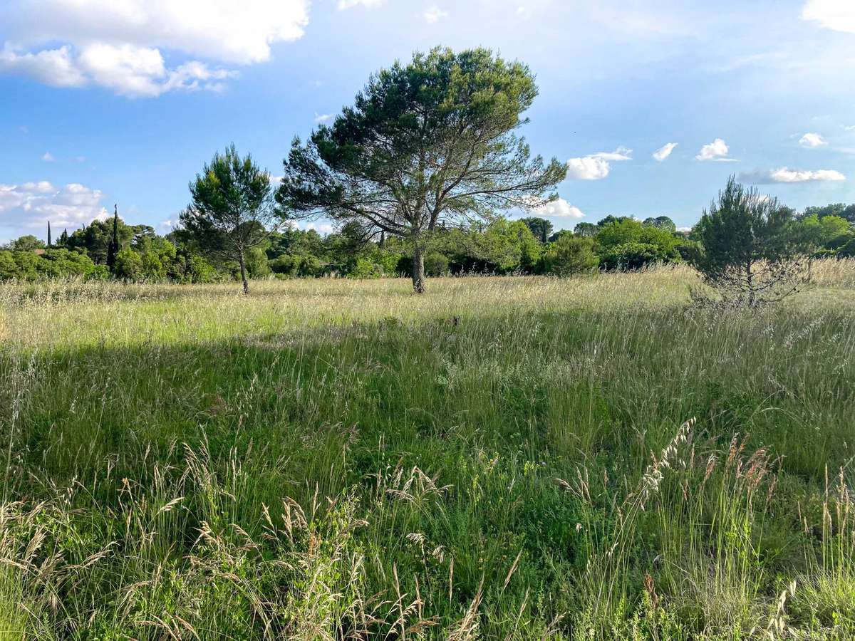 Propriété Uzès