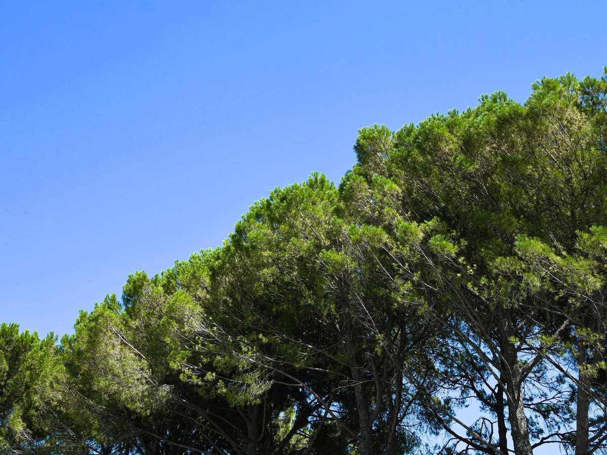 Propriété Uzès