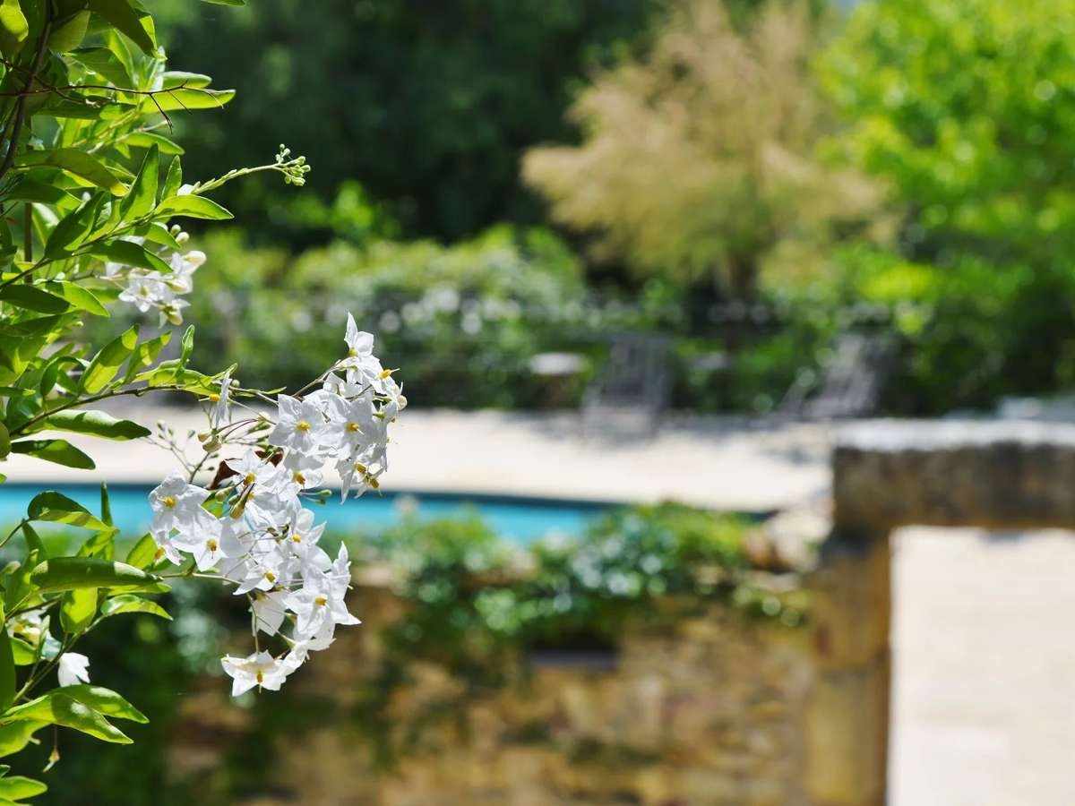 Propriété Uzès