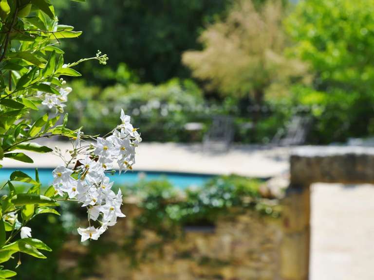 Propriété Uzès - 7 chambres - 424m²