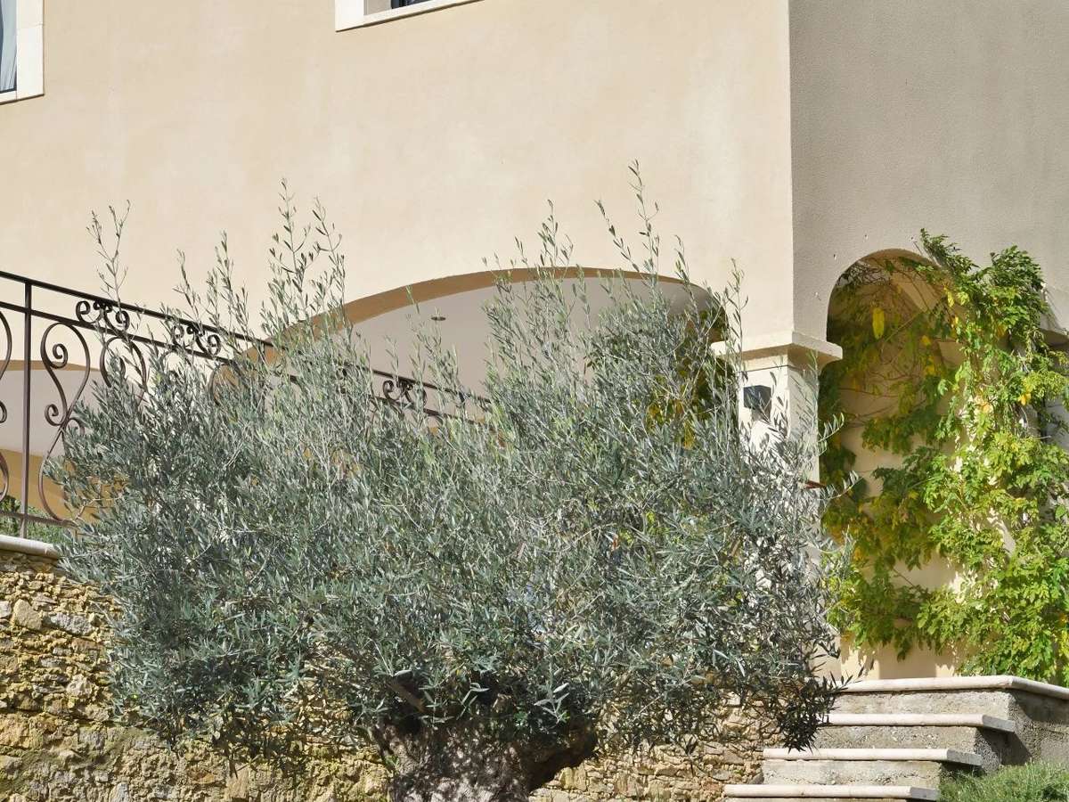 Propriété Uzès