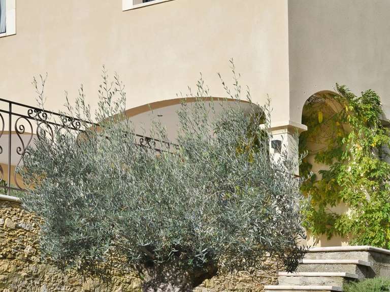 Propriété Uzès - 4 chambres - 143m²