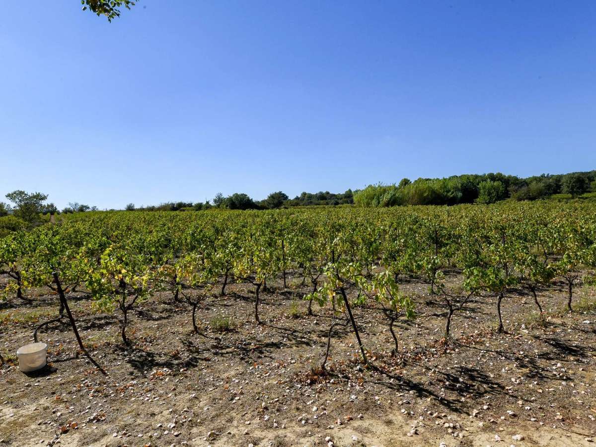 Propriété Uzès