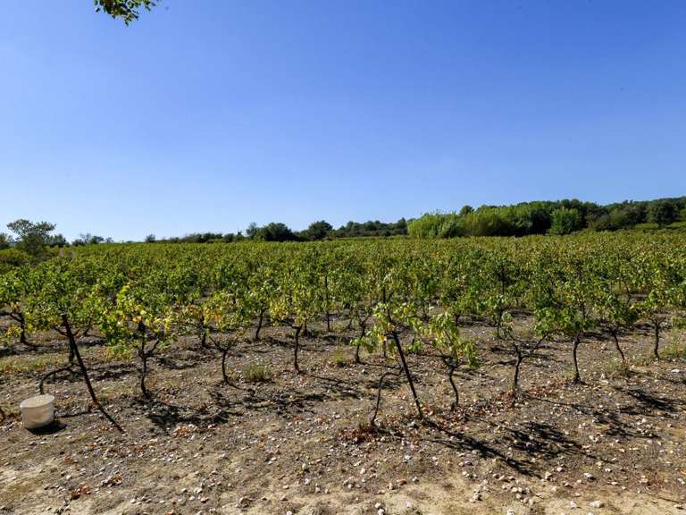 Propriété Uzès - 6 chambres - 395m²