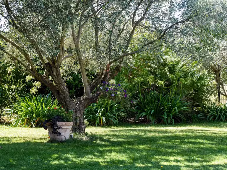Propriété Uzès - 3 chambres - 213m²