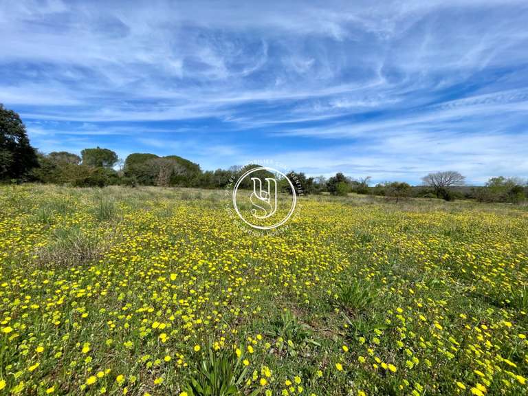 Land Uzès - 9106m²