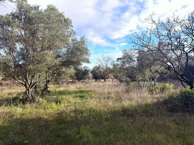 Terrain Uzès - 6050m²