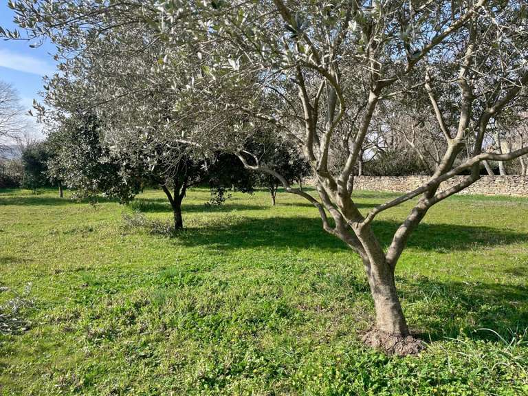 Terrain Uzès - 4650m²