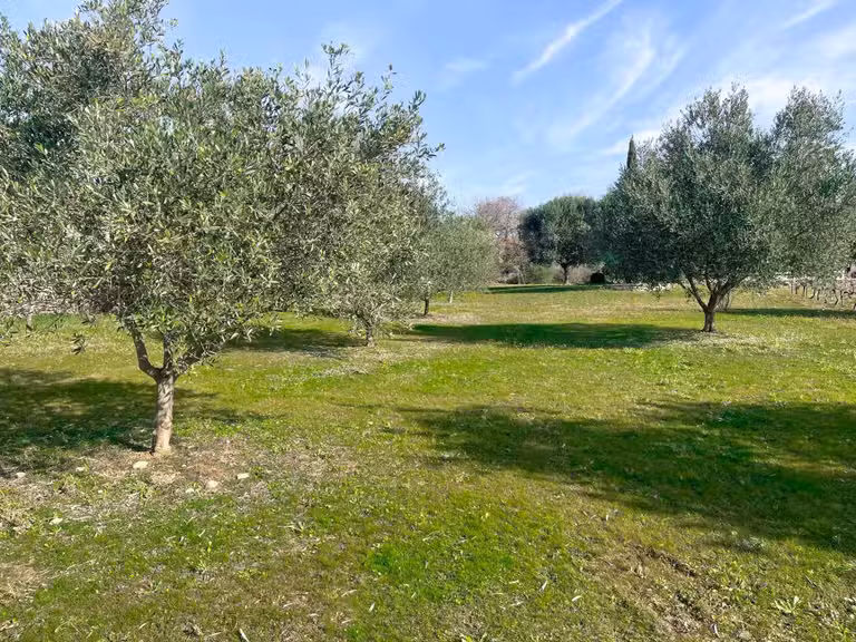 Terrain Uzès - 4650m²