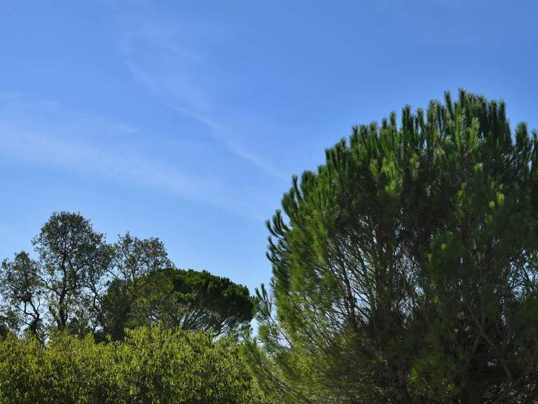 Villa Uzès - 3 chambres - 130m²