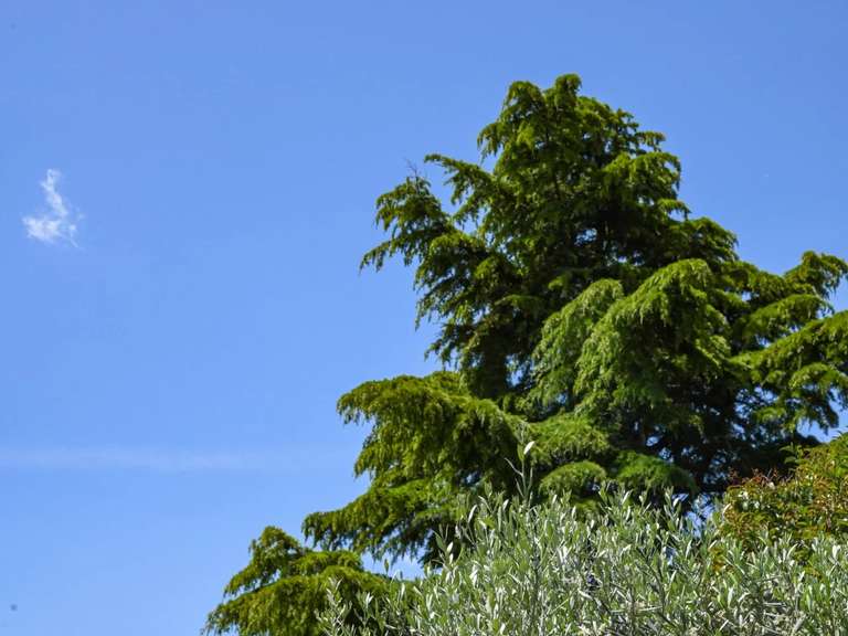 Villa Uzès - 4 chambres - 179m²