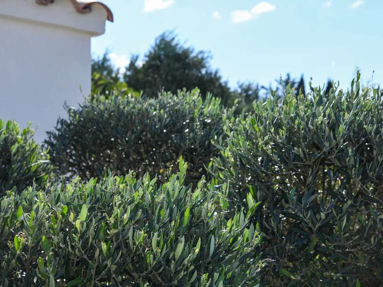 Villa Uzès - 3 chambres - 271m²