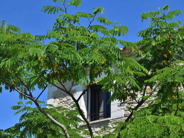 Villa Uzès - 3 chambres - 122m²