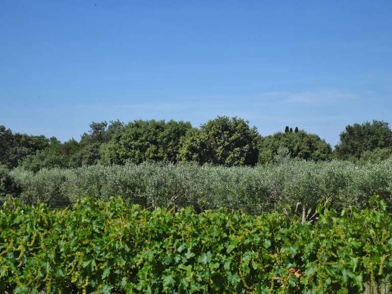 Villa Uzès - 3 chambres - 122m²