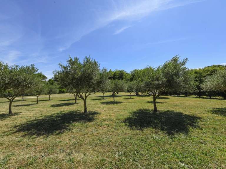 Villa Uzès - 6 chambres - 311m²