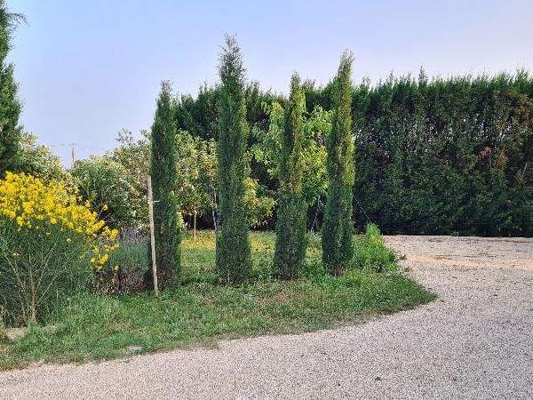 House Vacqueyras - 280m²