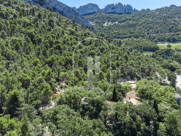 Vente Hôtel particulier Vaison-la-Romaine - 13 chambres
