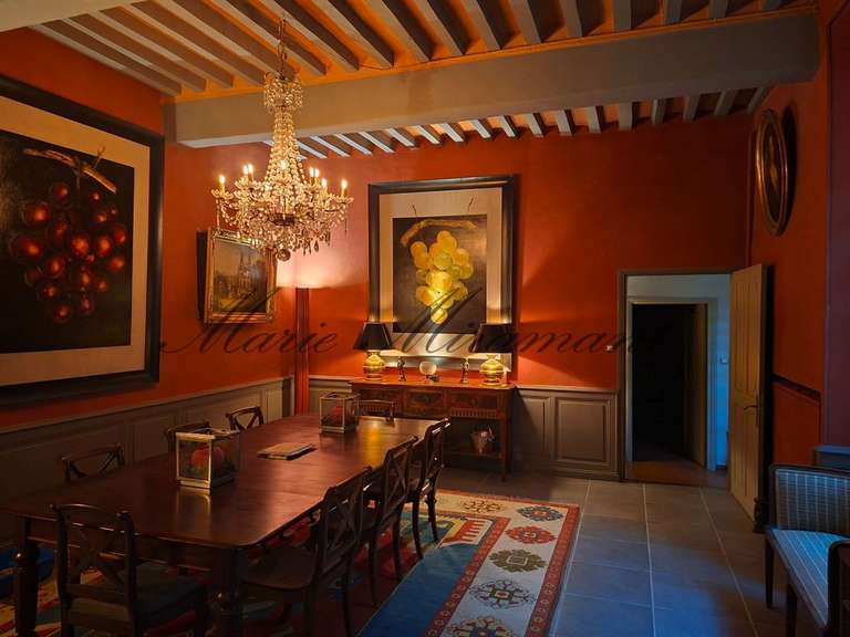 Hôtel particulier Vaison-la-Romaine - 7 chambres - 800m²