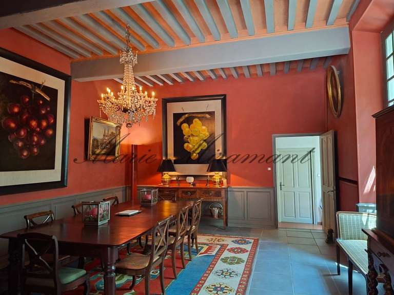 Hôtel particulier Vaison-la-Romaine - 7 chambres - 800m²