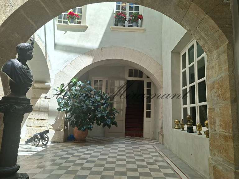 Hôtel particulier Vaison-la-Romaine - 7 chambres - 800m²
