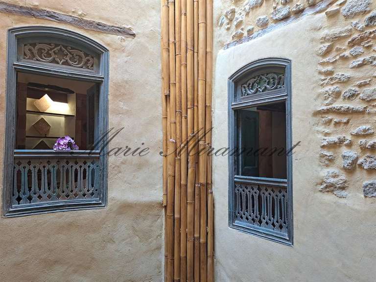 Hôtel particulier Vaison-la-Romaine - 7 chambres - 340m²