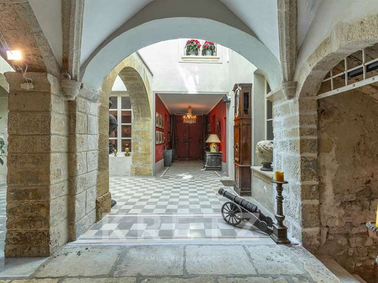 Hôtel particulier Vaison-la-Romaine - 7 chambres - 910m²
