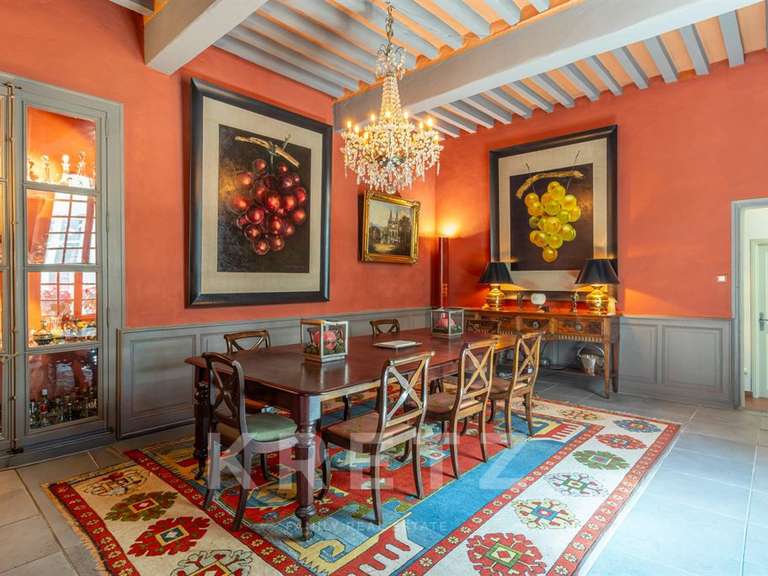 Hôtel particulier Vaison-la-Romaine - 7 chambres - 910m²