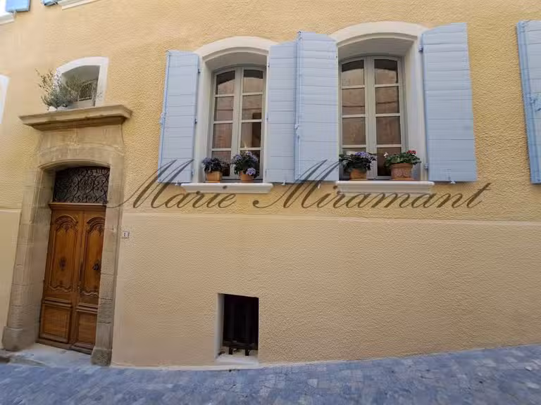 Hôtel particulier Vaison-la-Romaine - 7 chambres - 340m²