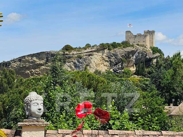 Maison Vaison-la-Romaine - 4 chambres - 248m²