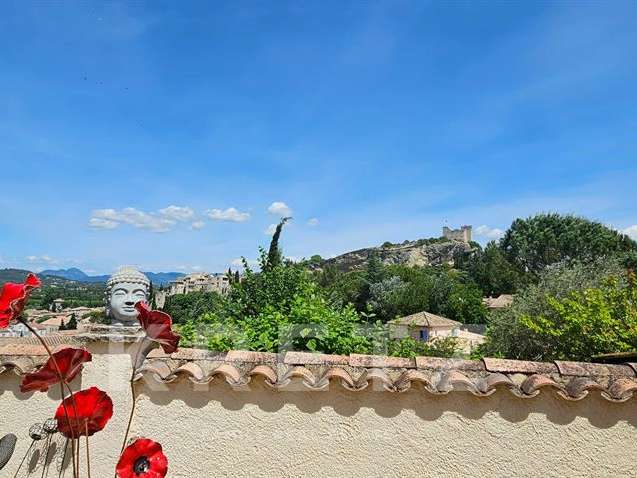 Maison Vaison-la-Romaine - 4 chambres - 248m²