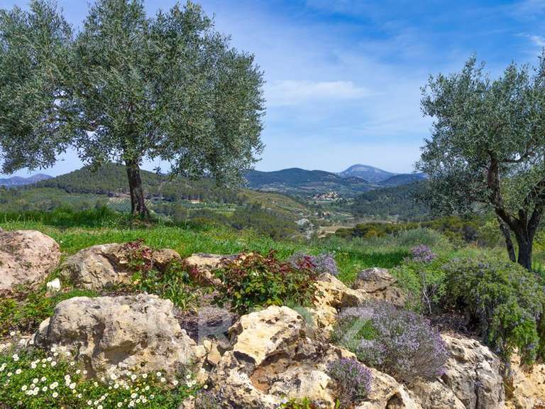 Maison Vaison-la-Romaine - 6 chambres - 216m²