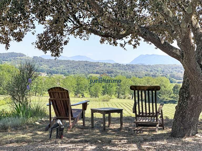 Maison Vaison-la-Romaine - 5 chambres - 295m²