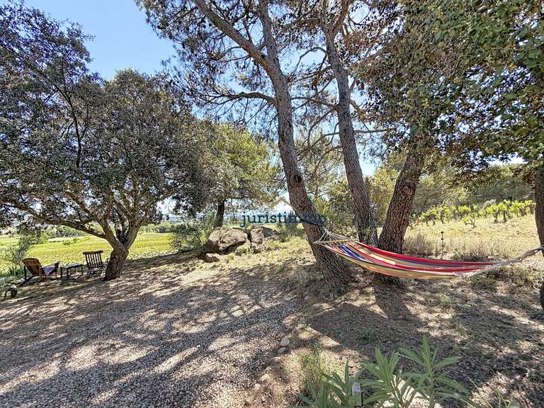 Maison Vaison-la-Romaine - 5 chambres - 295m²