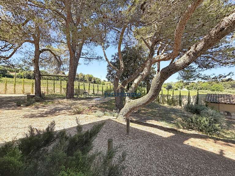 Maison Vaison-la-Romaine - 5 chambres - 295m²