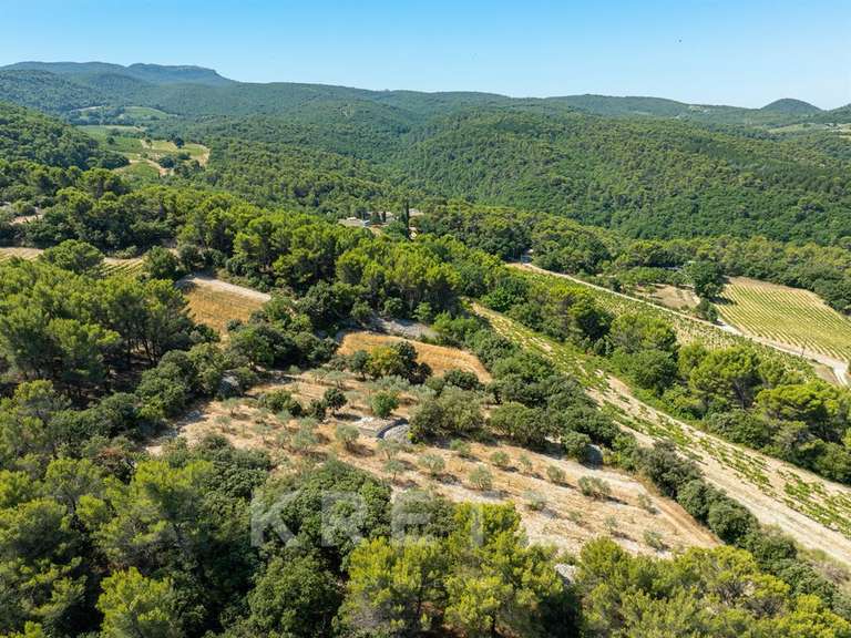 Maison Vaison-la-Romaine - 6 chambres - 275m²
