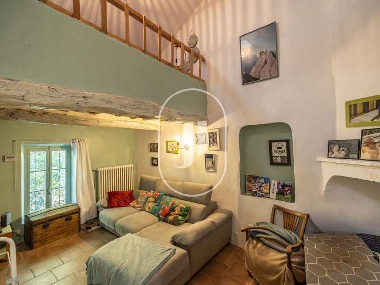 Maison Vaison-la-Romaine - 9 chambres - 400m²