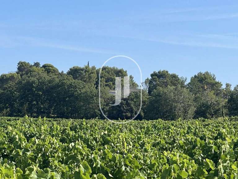 Villa Vaison-la-Romaine - 5 chambres - 250m²