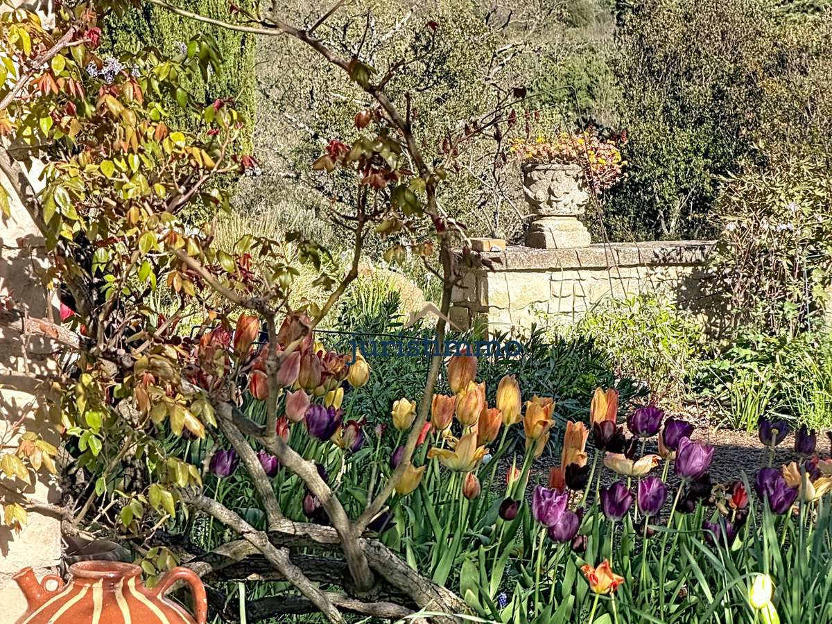 Villa Vaison-la-Romaine