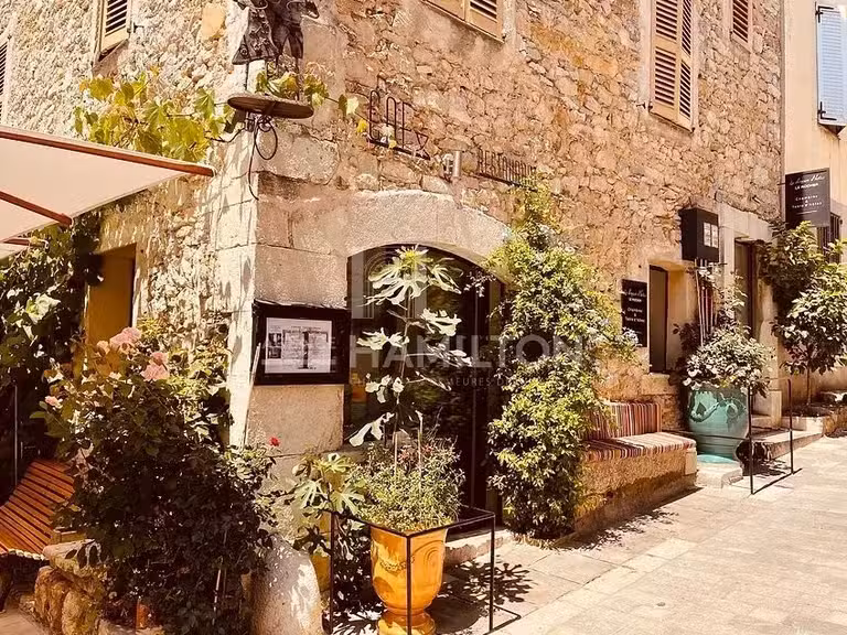 House Valbonne - 4 bedrooms - 195m²