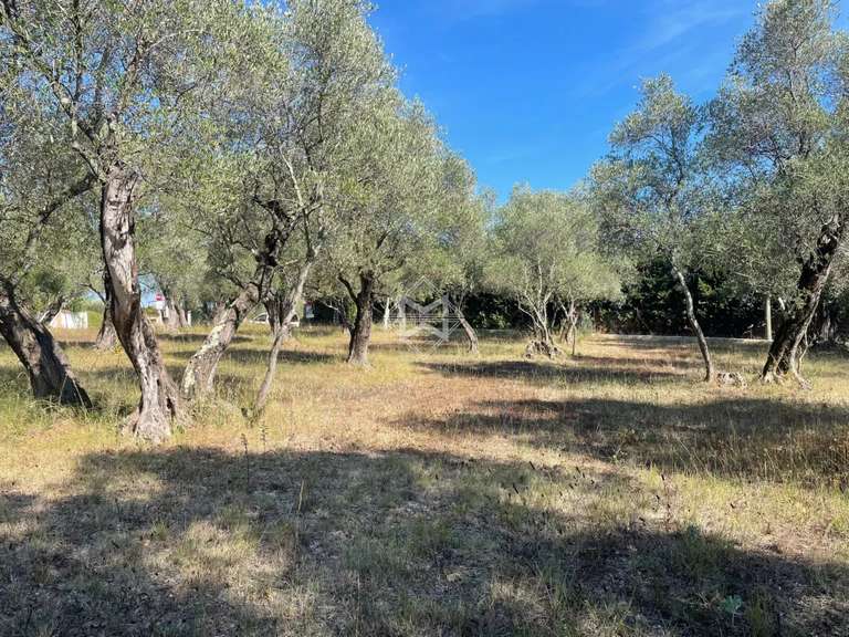 Terrain Valbonne - 2773m²