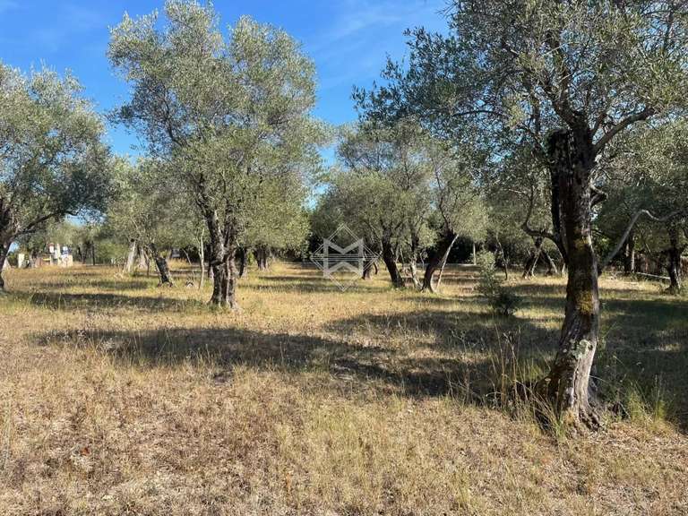 Terrain Valbonne - 2773m²