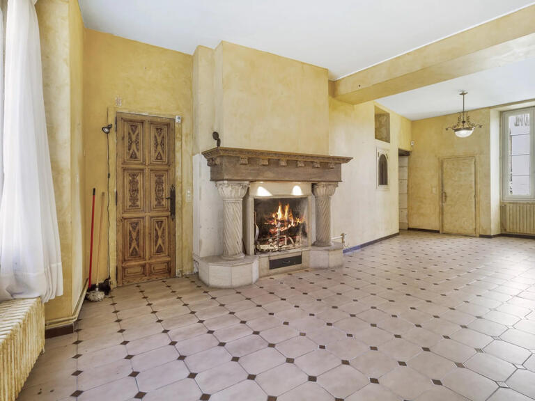 House Valence-sur-Baïse - 480m²