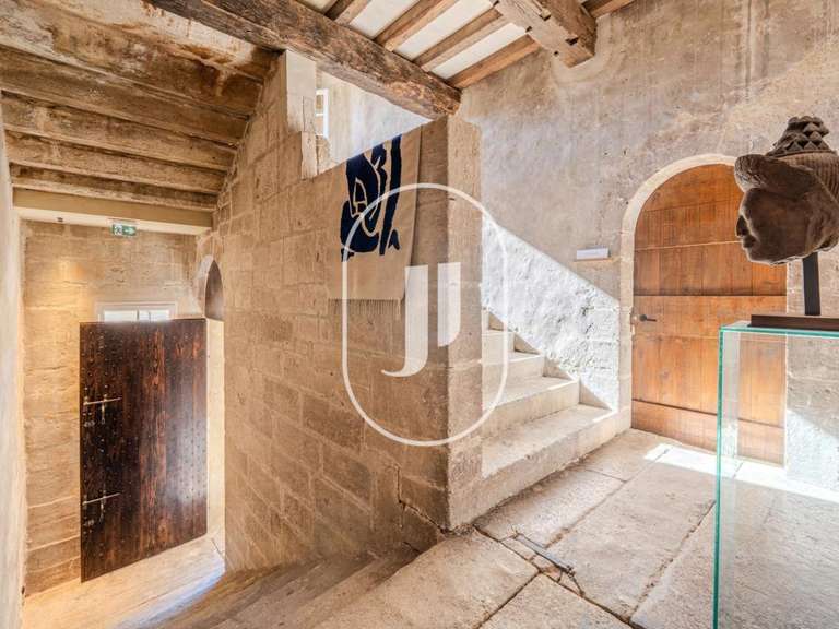 Hôtel particulier Vallabrègues - 11 chambres - 1000m²