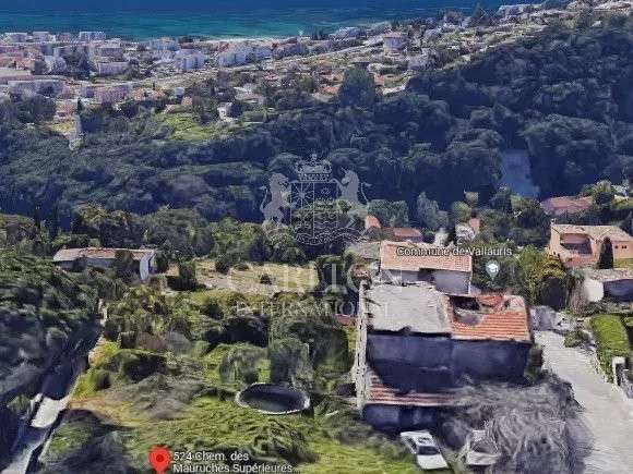 Terrain Vallauris - 1600m²
