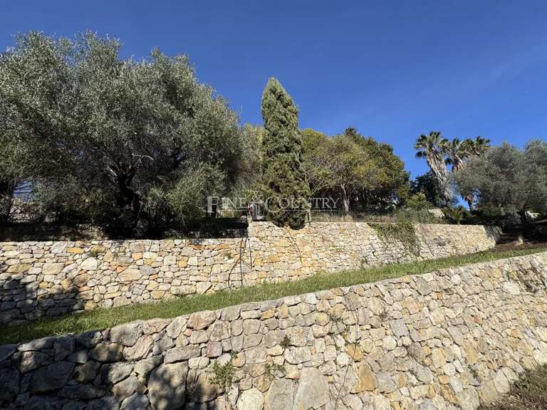 Terrain Vallauris - 2149m²