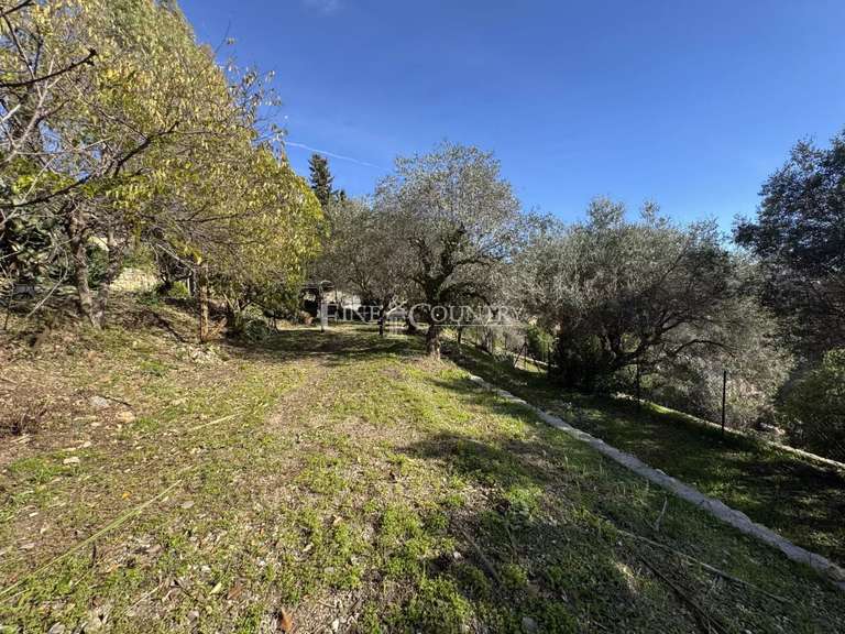 Terrain Vallauris - 2149m²