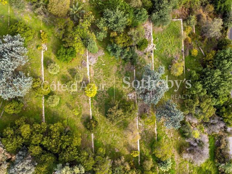 Land with Sea view Vallauris - 6071m²